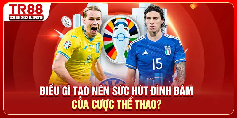 Điều gì tạo nên sức hút đình đám của cược thể thao?